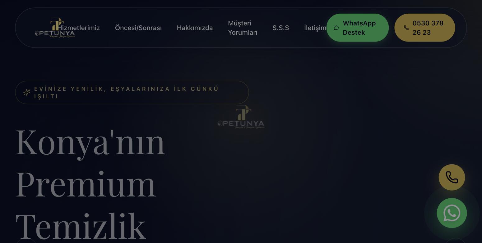 Petunya Halı Yıkama